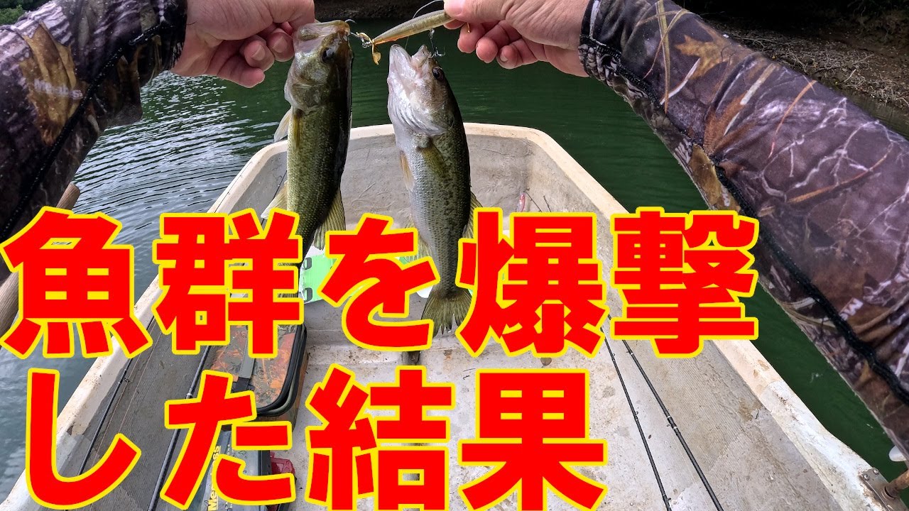 2025年7月 LEVEL SWIMMER 群れを爆撃 実釣テスト その５ メガバス レベルスイマー