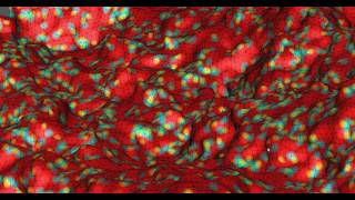 2d Membrane in the Hexatic Phase (simulation)