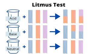 Litmus test for acidic , basic or neutral solution .