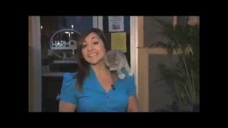 Animal BITES Woman On LIVE TV