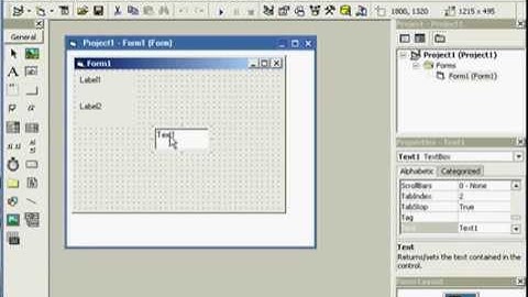Cara Mudah Belajar Visual Basic 6.0 - Basic Program