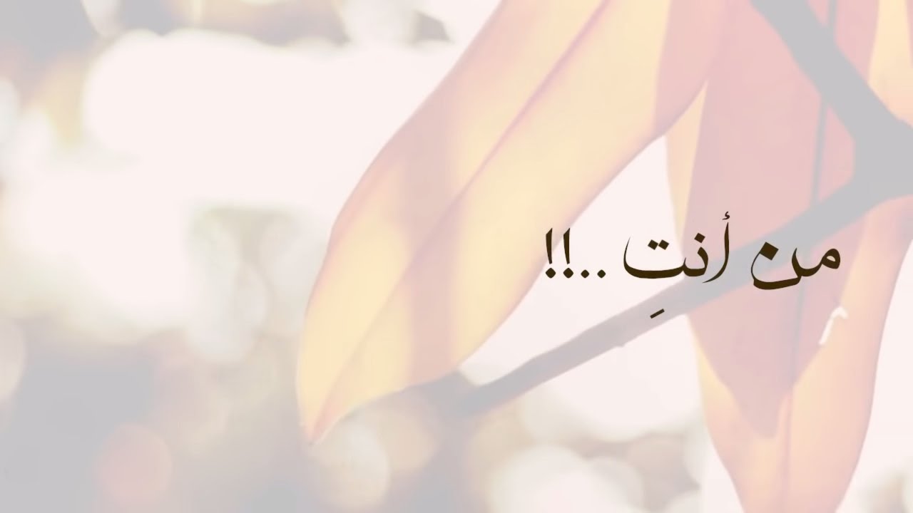 من أنتِ || كلمات : ماجد السليمان التركي || أداء || عبدالعزيز العليوي