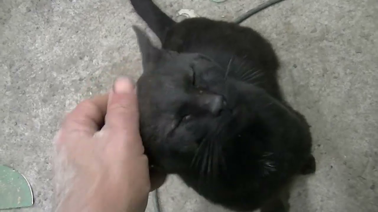 Don't judge me too harshly for what I'm going to do...57 Chevy 2dr to Nomad. Project NO-MAD Part 140