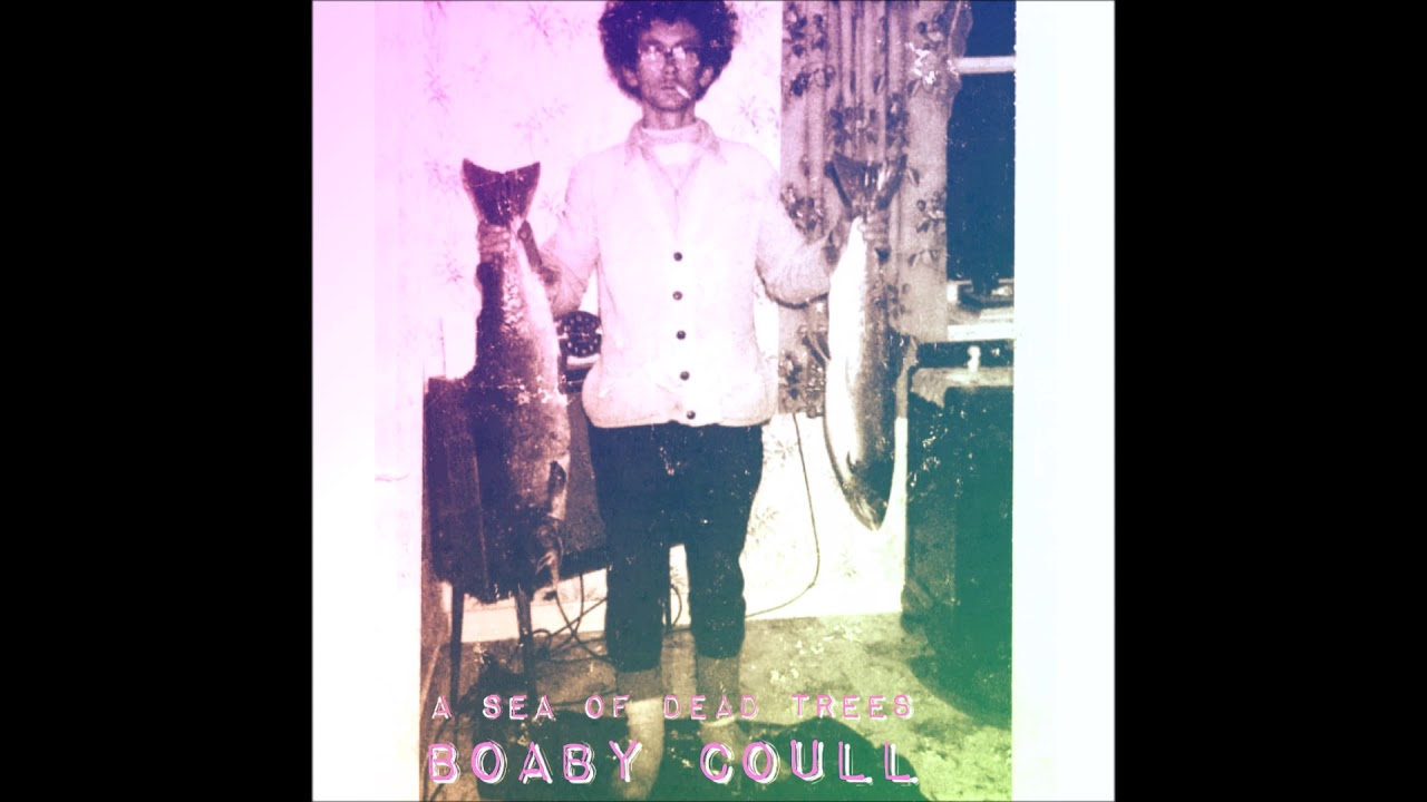 'Boaby Coull' by A Sea of Dead Trees