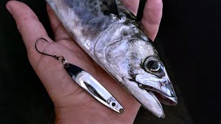 Mackerel Love Metals!   Mackerel Fishing