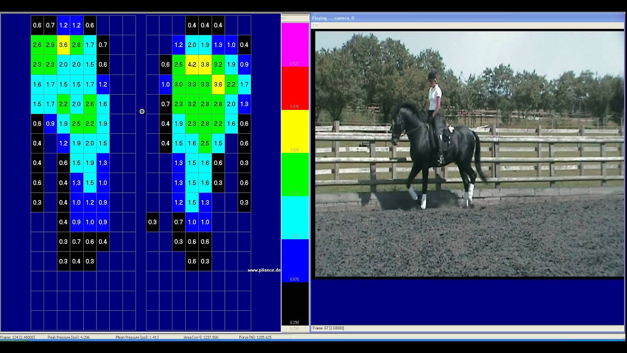 Pliance Pressure Mapping in Trot | HorseandRider UK - YouTube