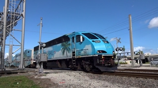 HD | South Florida Railfanning Featuring Amtrak FEC And TRI-RAIL 1/16/17