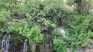 Collados Quesería (Huéscar)
