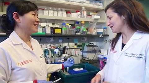 Why do we use zebrafish to study heart disease in humans?