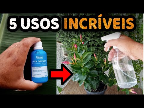 Água Oxigenada Vale OURO para Suas Plantas - 0,0 Pragas Usando Corretamente