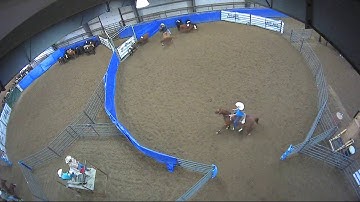 Big Sky Ranch Sorting Saddle Series #4 - OPEN - Round #1 - Ride #20