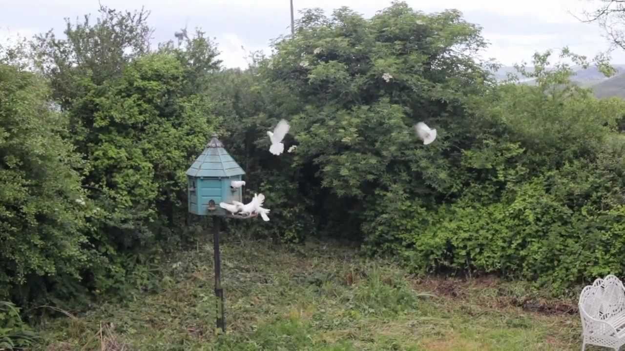 Britain's first solar town? Episode two.