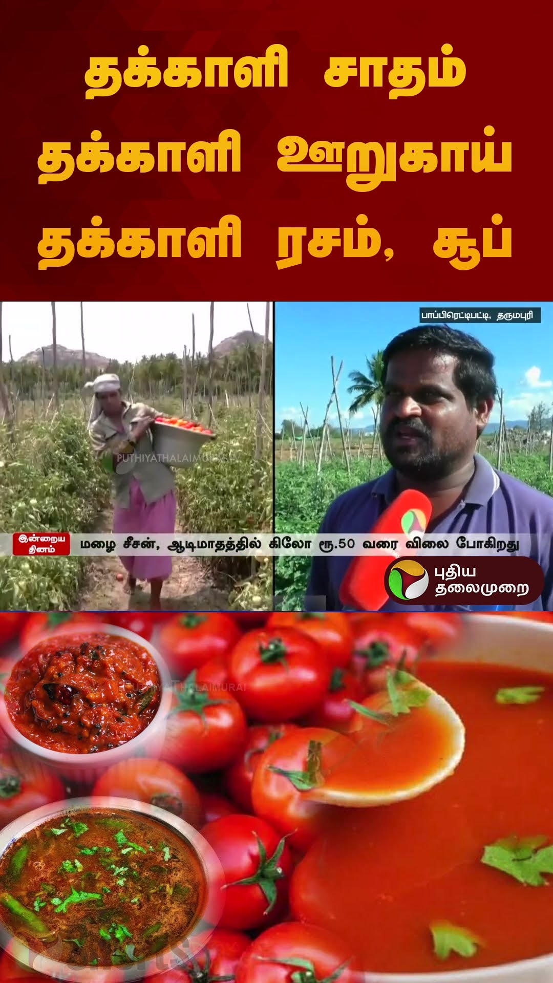 தக்காளி சாதம் தக்காளி ஊறுகாய் தக்காளி ரசம், சூப் | #tomato | #shorts