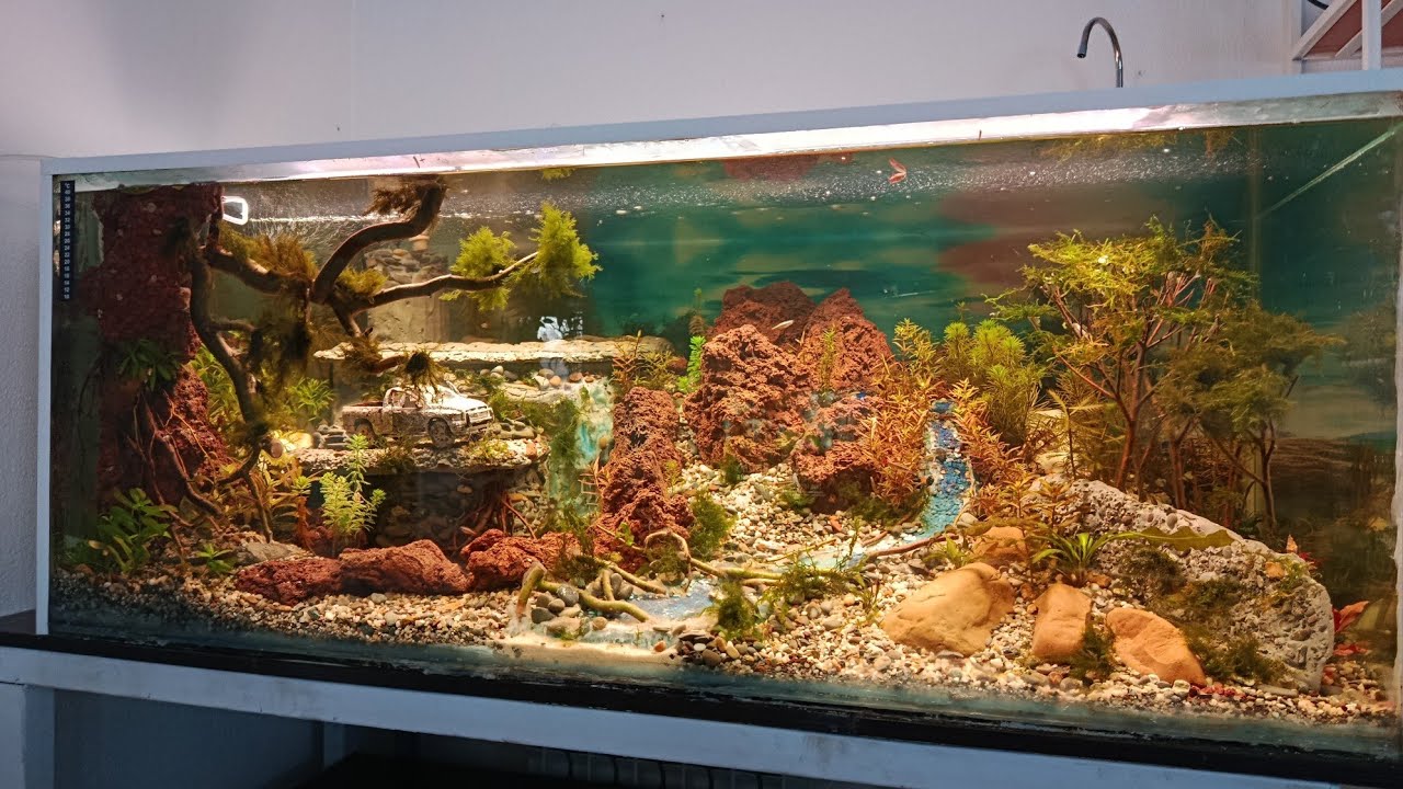 Запуск аквариума,, Природа Америки 