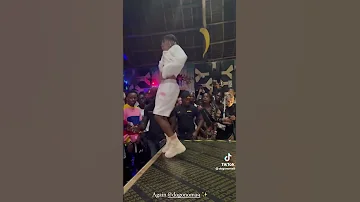 Kijan Dog Noma Acheza Mapiano Kama Chino Dancer 