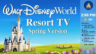 Wdw Today Channel  New   Walt Disney World Resort Tv  247