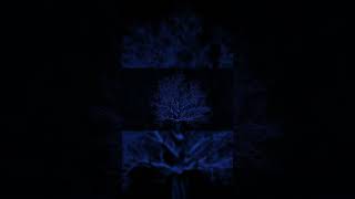 Bodhialis - Winter Drive (Teaser 2) | Cinematic Ambient                                   #shorts