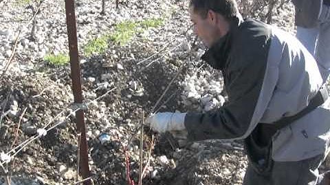 Five Days In Languedoc- Roussillon: Chateau Lancyre