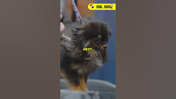 How Freeze-Drying Pets Works 😧