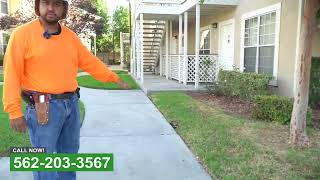 Lawn Care Business Whittier CA (562) 203-3567
