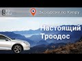 Экскурсии по Кипру: Настоящий Троодос