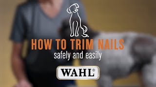 Trimming Dogs 🐶 Nails EASILY & SAFELY! 🐾✔️
