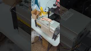 Antminer L3+ Score!! ( at least I think lol)#solomining #dogecoin #bitmain #litecoin #scrypt