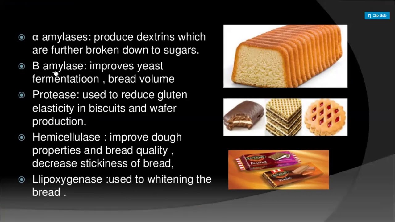 Application of enzymes in food industry YouTube