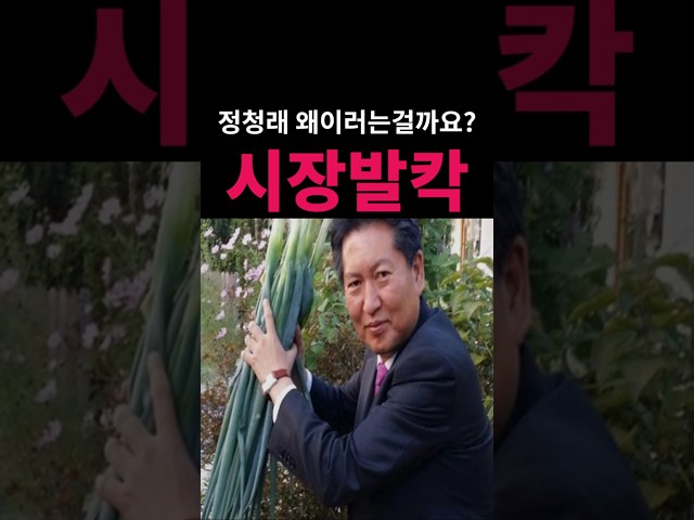 다시보는 정청래의 파 논리