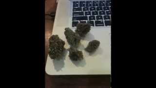 Why I'm makings these videos and a quick thanks to Subcool420 and others.