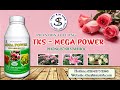 CHẾ PHẨM VI SINH TRỪ NẤM BỆNH THÁN THƯ, PHẤN TRẮNG, RỈ SẮT, SƯƠNG MAI ... |Vlog Nông Nghiệp