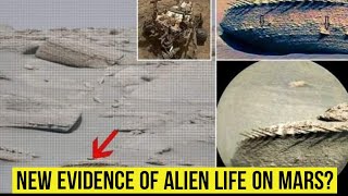 Martian Mystery: What Is This Bizarre Rock? : New Evidence of Alien Life on Mars?