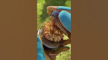 Life lessons (motivation)💯✅💥😎#motivationalclips #successsigma #shortsfeed #shorts #youtubeshorts