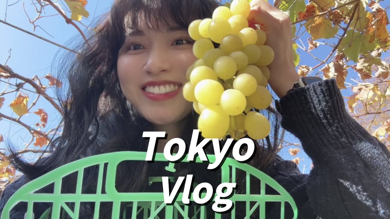 3년차 20대 도쿄 직장인 | 연차 내고 포도 따기 체험🍇 | 당일치기 버스 투어 | 야마나시 치즈 함바그 | 카레 그랑프리 우승한 가게에서 점심 🍛