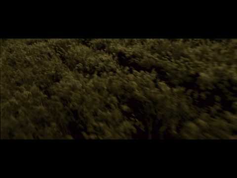Harry Potter and the Half Blood Prince Burrow being attacked scene