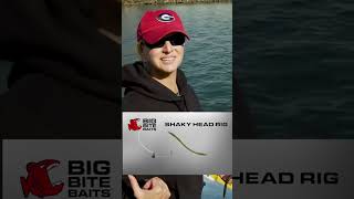 Fall smallmouth on a shaky head featuring Stacy C on the Hudson River #fishing #fishtok