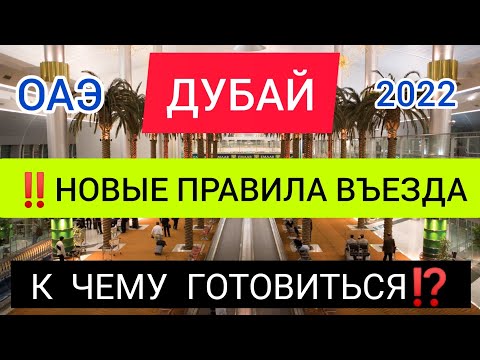 ДУБАЙ 2022: НОВЫЕ ТРЕБОВАНИЯ ДЛЯ ВЪЕЗДА В ОАЭ 2022. Стоит ли ехать?Правила въезда: Шарджа, Абу Даби