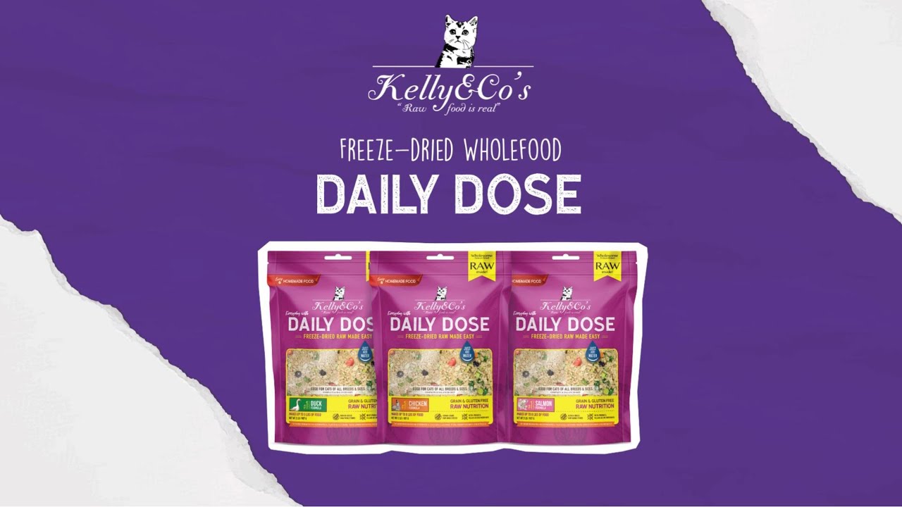 How To Feed Daily Dose For Cats YouTube how-to-feed-daily-dose-for-cats-youtube