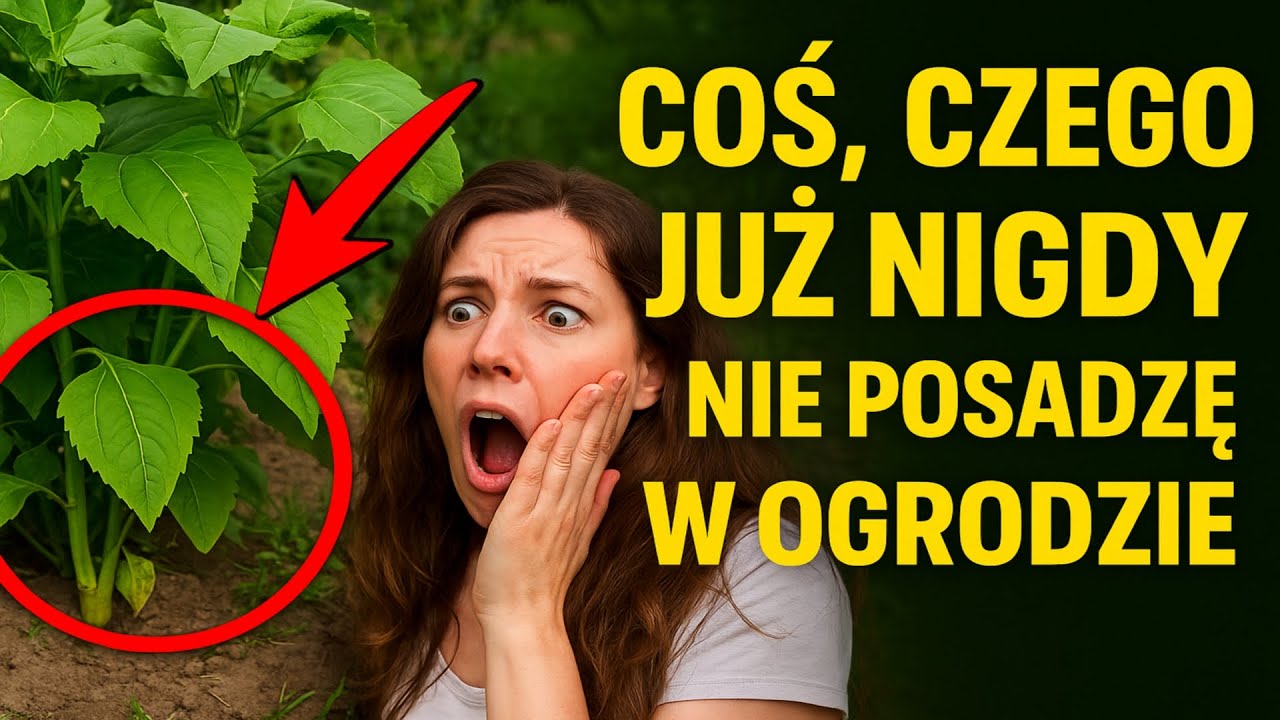 Coś, czego już nigdy nie posadzę w ogrodzie (i dlaczego wam też tego nie polecam)