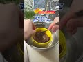 【収益公開】ショート動画は稼げるのか？ #shorts #料理 #簡単レシピ