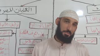 النظام المصرفي حل وضعيات