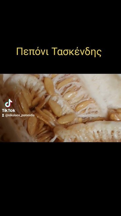 Узбекские дыни в Греции - YouTube