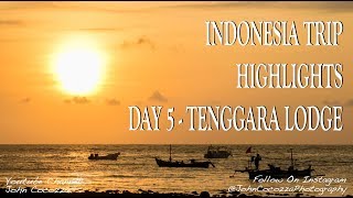 Indonesia Travel Highlights - Day 5 - Tenggara Villa Sunrise, Hike Volcanic Rocks, Bintangs at Pool