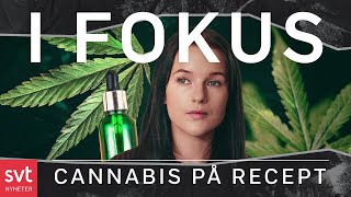 Så ser utvecklingen för medicinsk cannabis ut i Sverige | SVT Nyheter