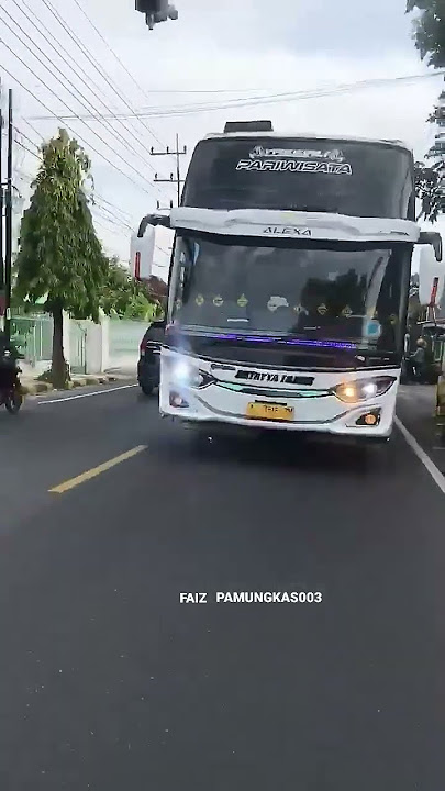 BASURI CICI CUIT ARTAYYA TRANS YASSIRLI