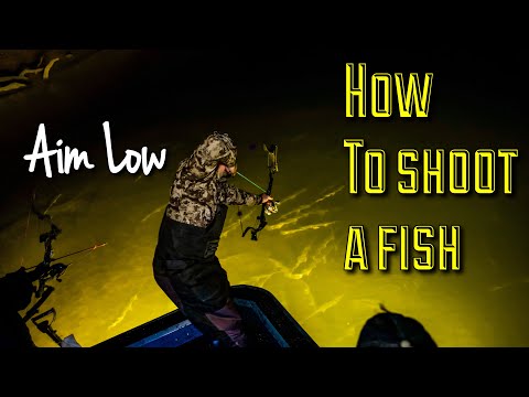 How to shoot FISH with a Bow |Bowfishing