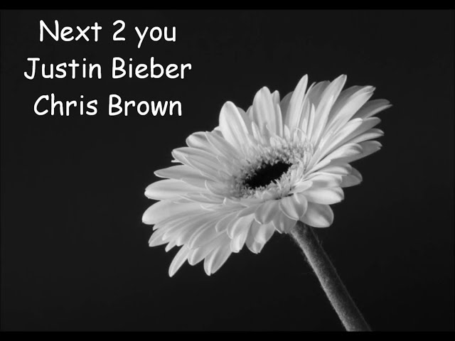 Justin Bieber ft Chris Brown - Next 2 you class=