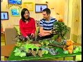 CBeebies Continuity Friday 20th April 2007 7 TV Time Machine