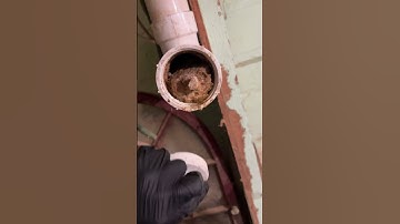 How a line will look when septic is full and no Baffle! #plumbing #septictanktv #cloggeddrain