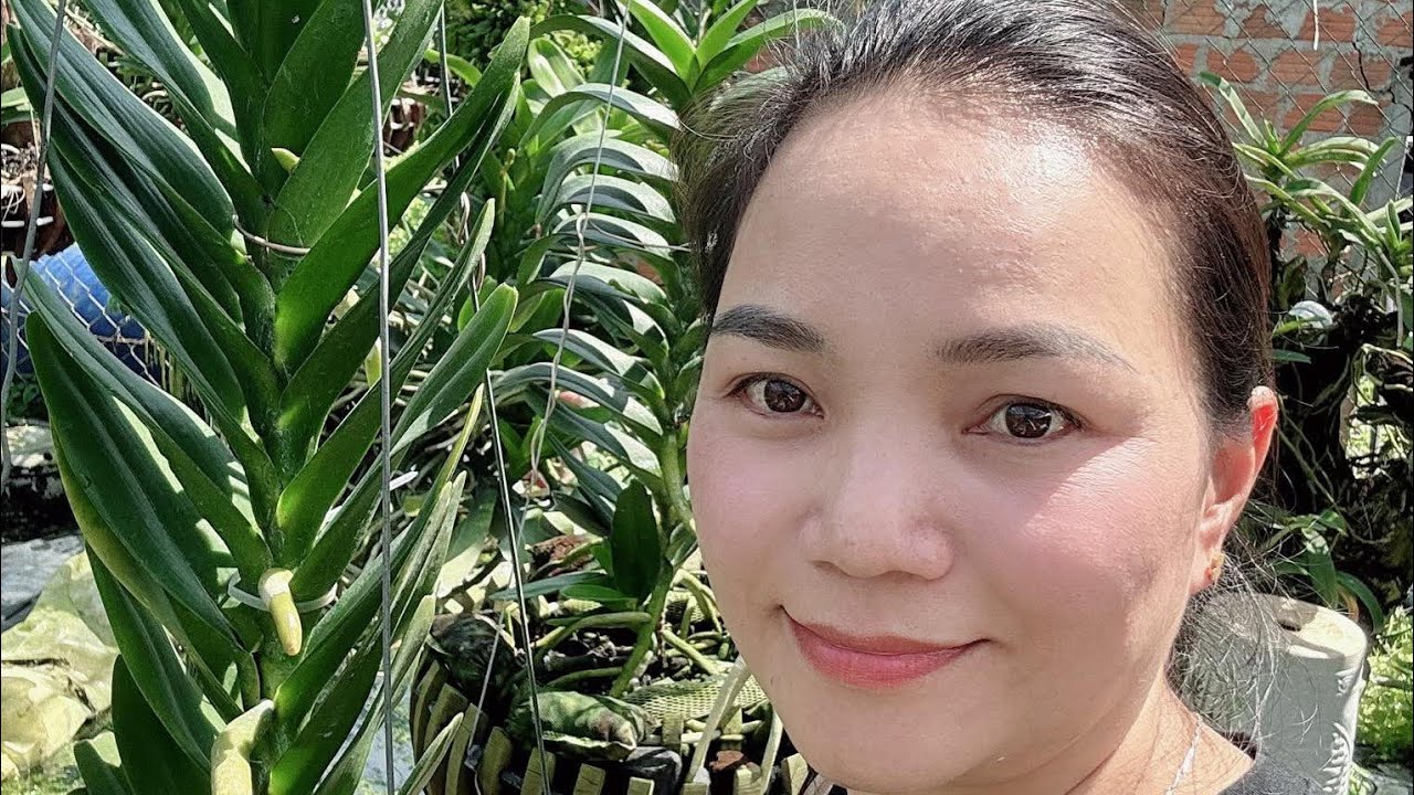 NHẠN ,SÓC ,QUẾ (8/3) PHƯỚC LÊ 0332120650